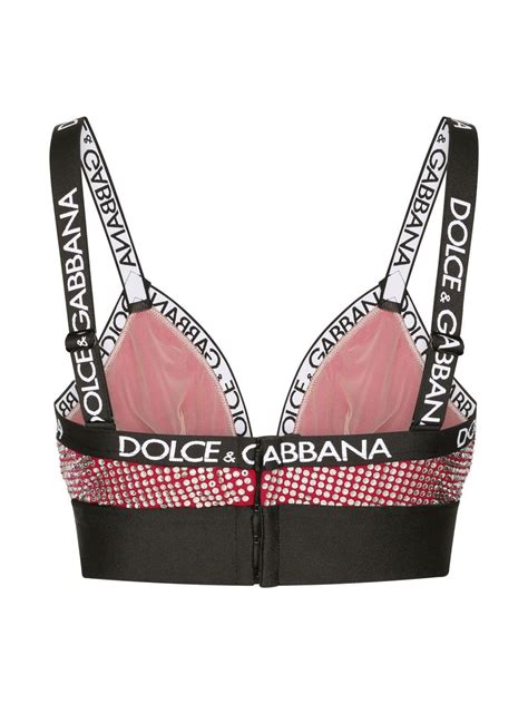 dolce and gabbana bra